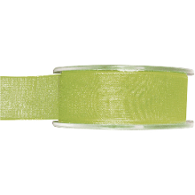 Merkloos 1x Hobby/decoratie groene organza sierlinten 2,5 cm/25 mm x 20 meter