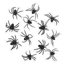 Merkloos Boland Horror decoratie spinnen   12x stuks   8 cm   Halloween dieren   kunststof   zwart