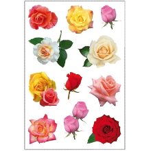 Merkloos Gekleurde rozen bloemen thema stickers   33x stuks   kinderstickers   stickervellen   decoratie arti