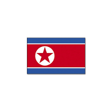 Merkloos Vlag Noord Korea   90 x 150 cm   feestartikelen   Noord Korea landen thema   supporter/fan