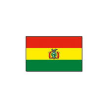 Merkloos Vlag van Bolivia   90 x 150 cm   feestartikelen   landen thema supporter   decoratie artikelen