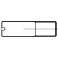 TOOLCRAFT 1060680 Tapeind M10 RVS A1 100 stuks