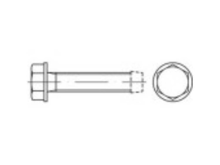 Toolcraft 141101 Tapbouten M4 12 Mm Buitenzeskant (inbus) Din 7500 Staal Galvanisch Verzinkt 1000 Stuks