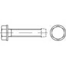 Toolcraft 141133 Tapbouten M8 16 Mm Buitenzeskant (inbus) Din 7500 Staal Galvanisch Verzinkt 500 Stuks
