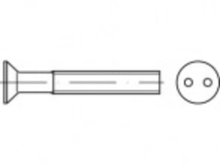 TOOLCRAFT TO 5379960 Veiligheidsschroeven M4 50 mm Tweegats 88112 RVS A2 100 stuks