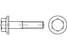 TOOLCRAFT TO 5391753 Zeskantbouten M16 50 mm Buitenzeskant (inbus) Staal Galvanisch verzinkt 50 stuks