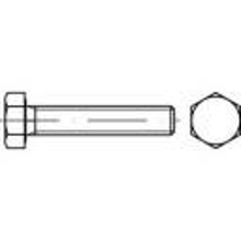TOOLCRAFT TO 5436174 Zeskantbouten M24 50 mm Buitenzeskant (inbus) ISO 8676 Staal Galvanisch verzinkt 50 stuks