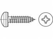 TOOLCRAFT TO 5444748 Plaatschroeven 38 mm Kruiskop Phillips 88981 Staal Galvanisch verzinkt 500 stuk(s)