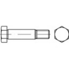 Toolcraft Zeskant Passchroeven M20 130 Mm Buitenzeskant (inbus) Din 610 Staal 1 Stuks