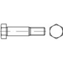 Toolcraft Zeskant Passchroeven M20 80 Mm Buitenzeskant (inbus) Din 609 Staal 1 Stuks