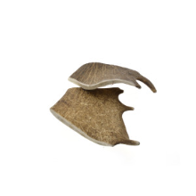 Zoolekker   Damhertgewei hondensnack M x5